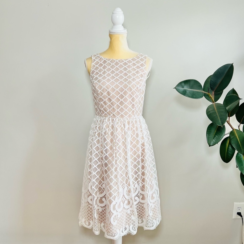 Eliza J lace overlay sleeveless fit and flare dress